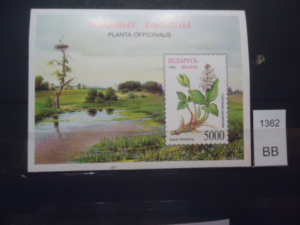 Фото марки Беларусь 1996г блок **