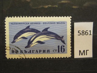 Фото марки Болгария 1961г