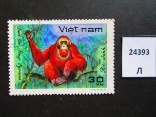 Фото марки Вьетнам 1981г