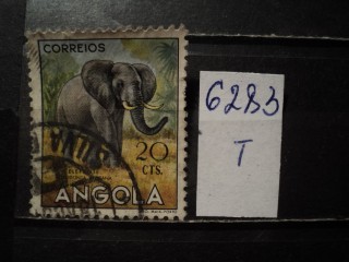 Фото марки Порт. Ангола 1953г