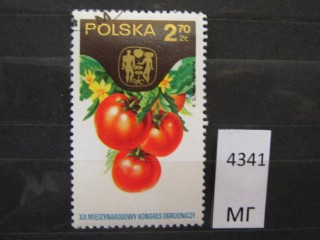 Фото марки Польша 1974г