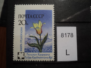 Фото марки СССР 1960-70гг **