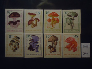 Фото марки Болгария 1961г (13€) **