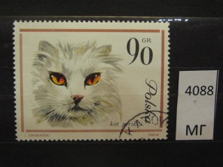 Фото марки Польша 1964г
