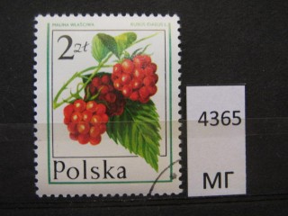Фото марки Польша 1977г