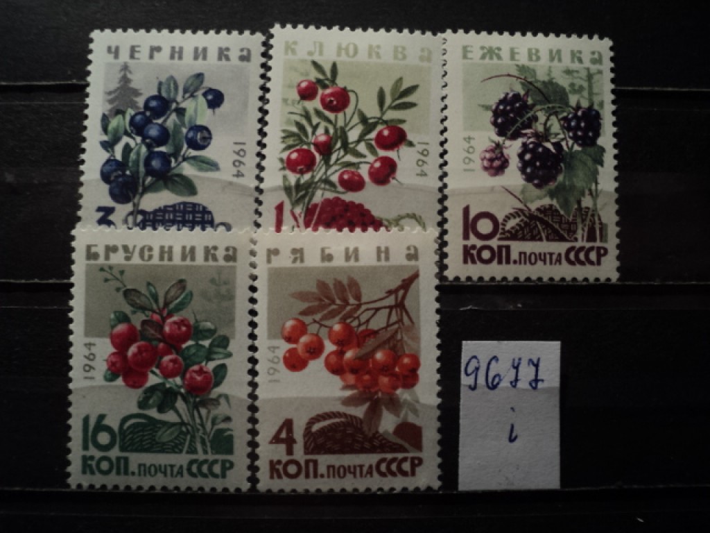Фото марки СССР 1964г *