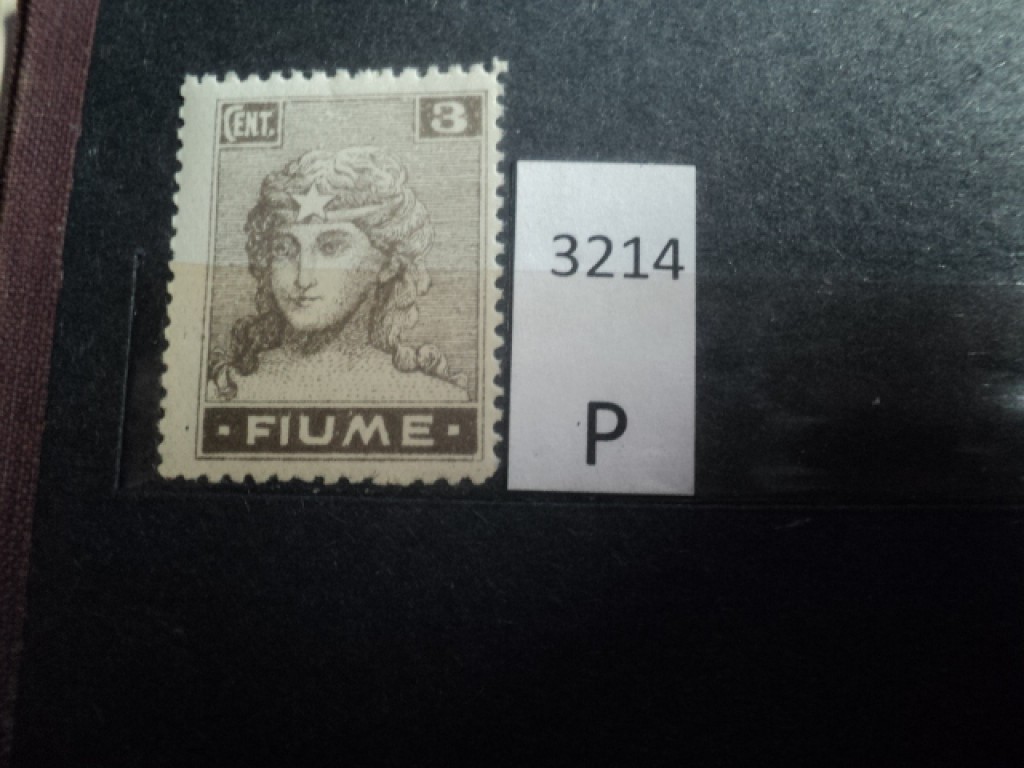 Фото марки Итальянский Фиуме 1919г **