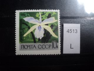 Фото марки CCCР 1969г **