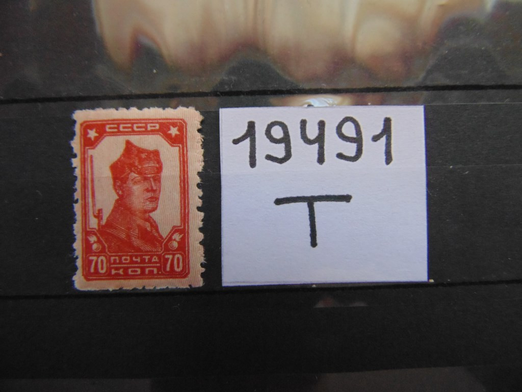 Фото марки СССР 1929г *