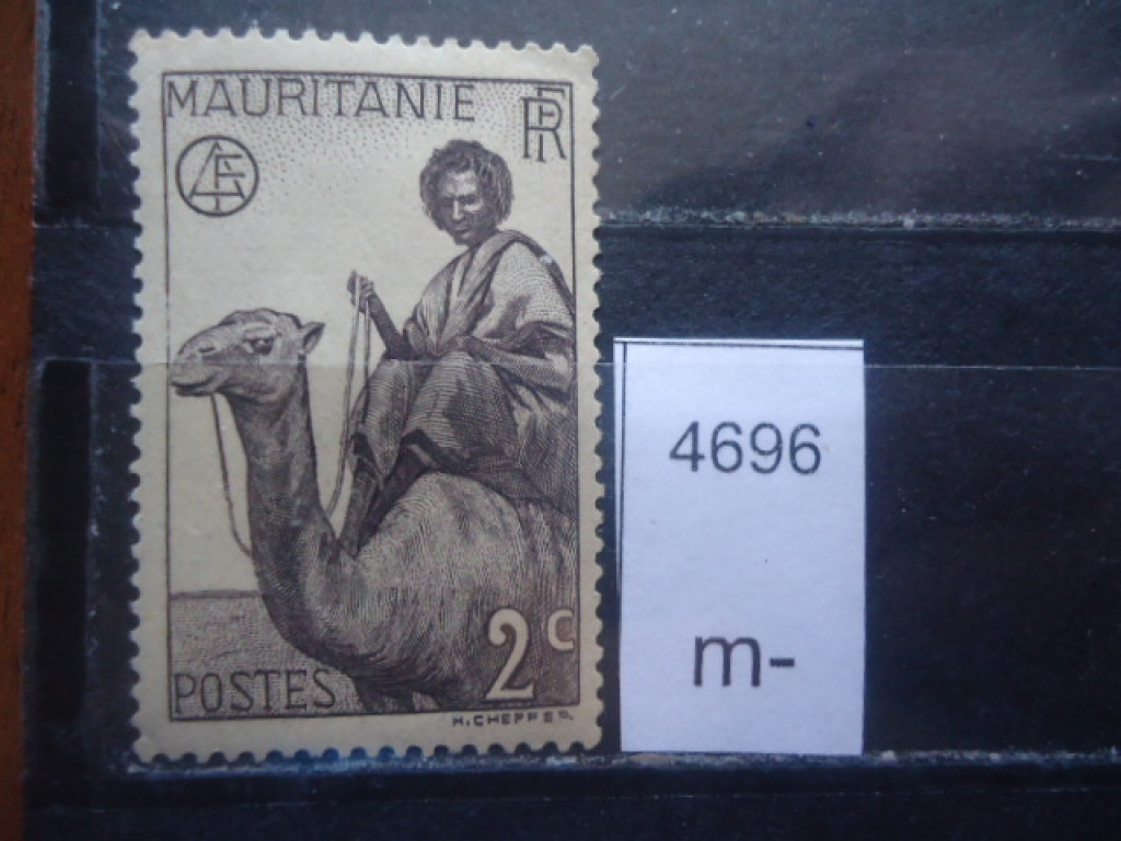 Фото марки Франц. Мавритания 1938г *