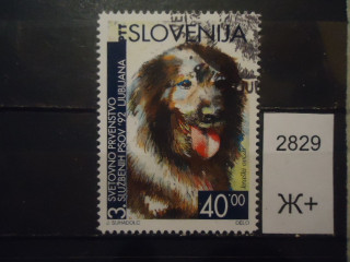 Фото марки Словения