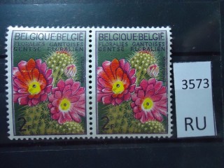 Фото марки Бельгия 1964г пара **