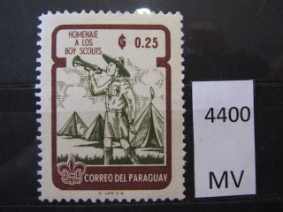 Фото марки Парагвай 1962г *