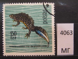 Фото марки Польша 1963г