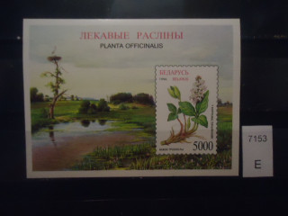 Фото марки Беларусь 1996г блок **