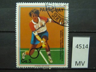 Фото марки Парагвай 1986г