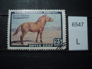 Фото марки СССР 1950-60гг