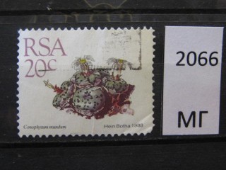 Фото марки Южная Африка 1988г