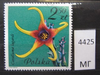Фото марки Польша 1981г