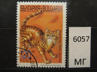 Фото марки Болгария 1998г