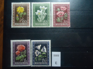 Фото марки Венгрия 1961г *