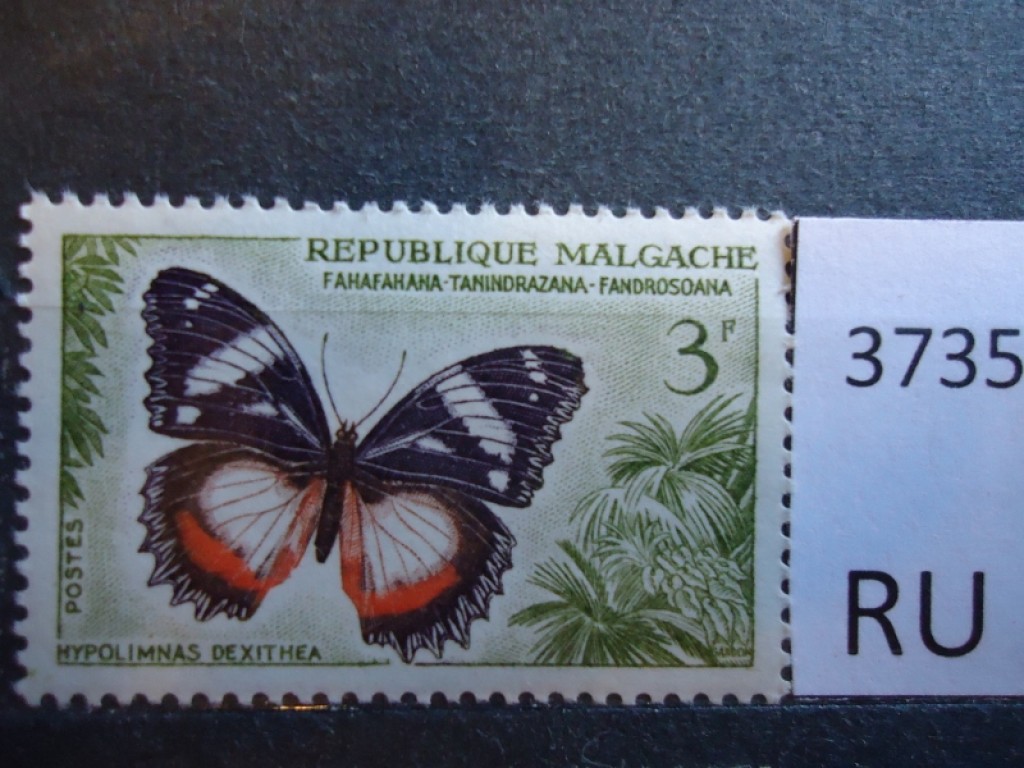Фото марки Мадагаскар 1960г **