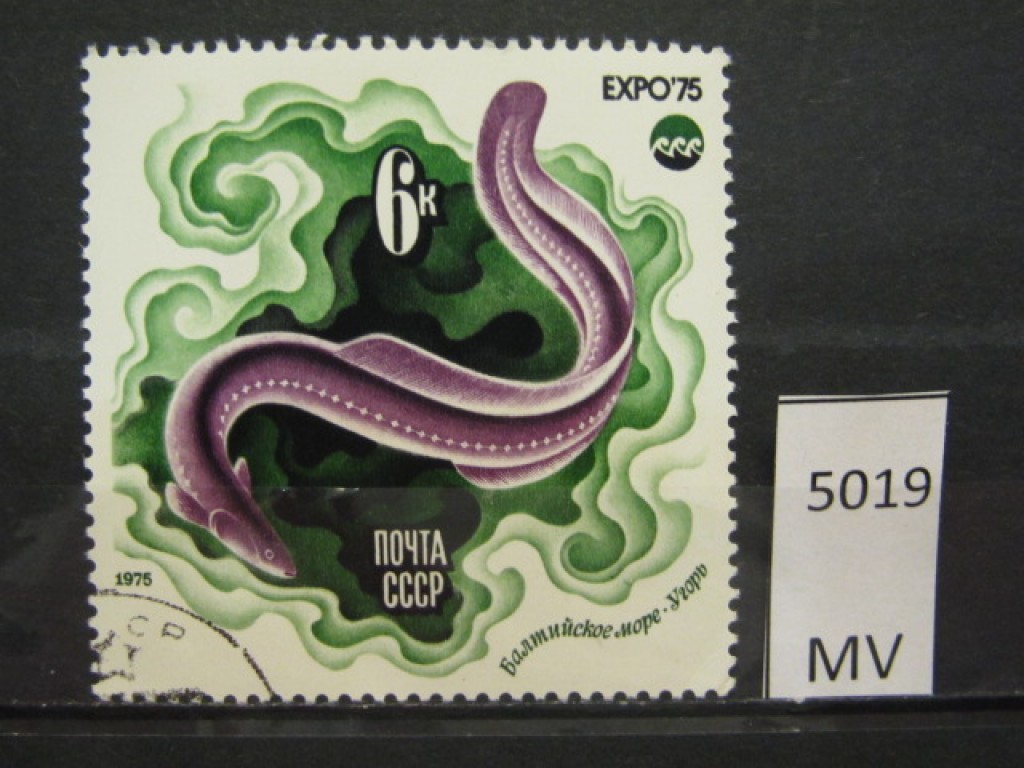 Фото марки СССР 1975г