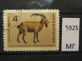 Фото марки Болгария 1966г