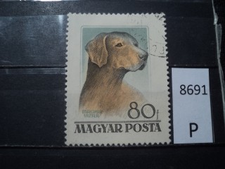 Фото марки Венгрия 1956г