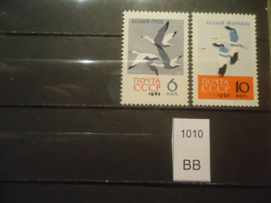 Фото марки СССР 1962г **