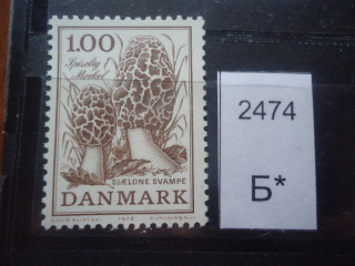 Фото марки Дания 1978г **
