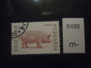 Фото марки Болгария 1991г