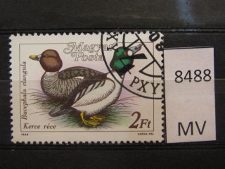Фото марки Венгрия 1988г