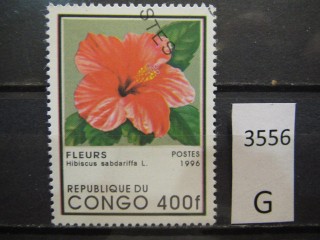 Фото марки Конго 1996г