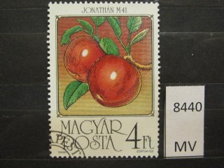 Фото марки Венгрия 1986г