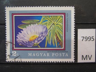 Фото марки Венгрия 1971г