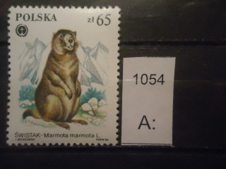 Фото марки Польша 1984г **