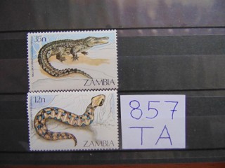 Фото марки Замбия 1984г **