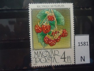 Фото марки Венгрия