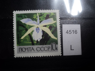 Фото марки CCCР 1969г **