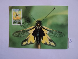 Фото марки Лихтенштейн почтовая карточка