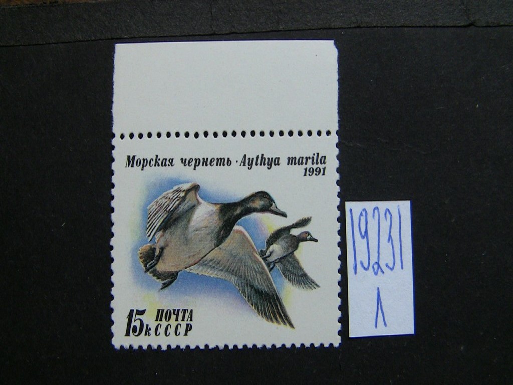 Фото марки СССР 1991г **