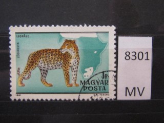 Фото марки Венгрия 1981г