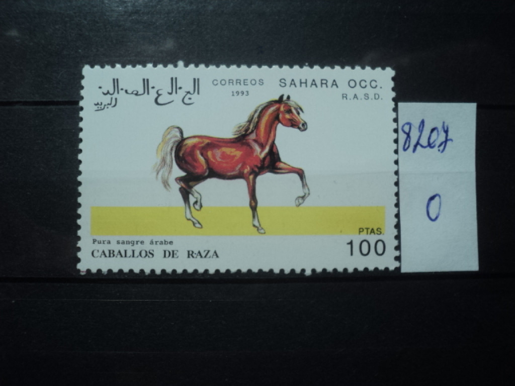 Лошадка марка. Рекламная марка на коне. Автобус с лошадкой марка. Международные почтовые марки Sahara OCC. Марка на коне не найк.