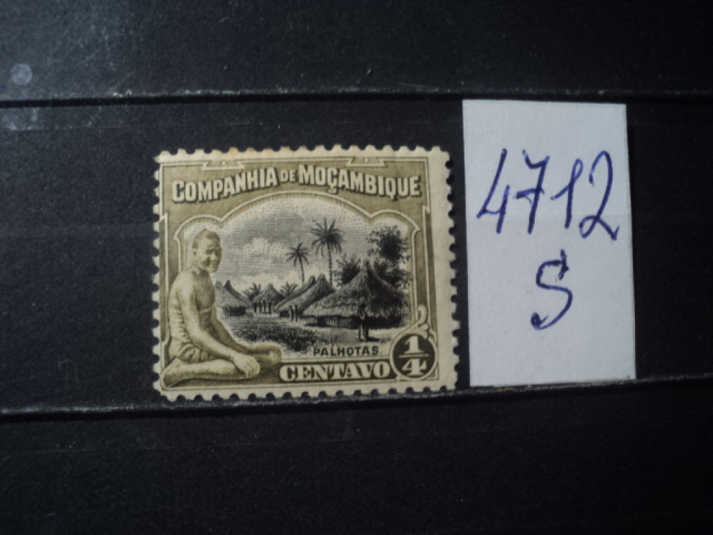 Фото марки Мозамбик 1925г *