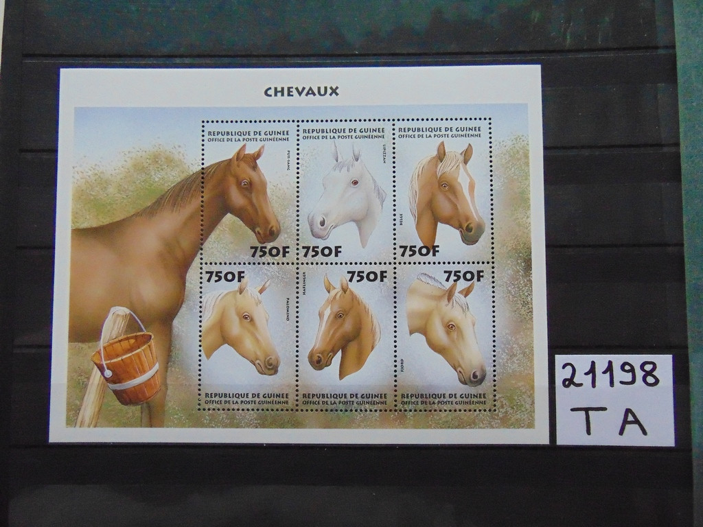 Фото марки Гвинея 1999г **
