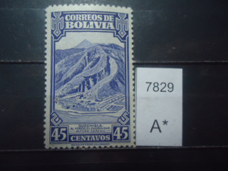Фото марки Боливия 1943г *