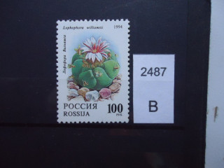 Фото марки Россия 1994г **