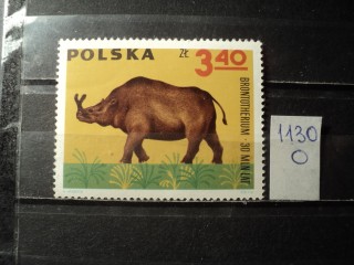 Фото марки Польша 1966г **