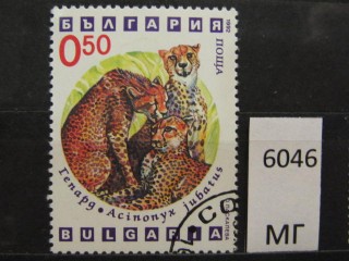 Фото марки Болгария 1992г